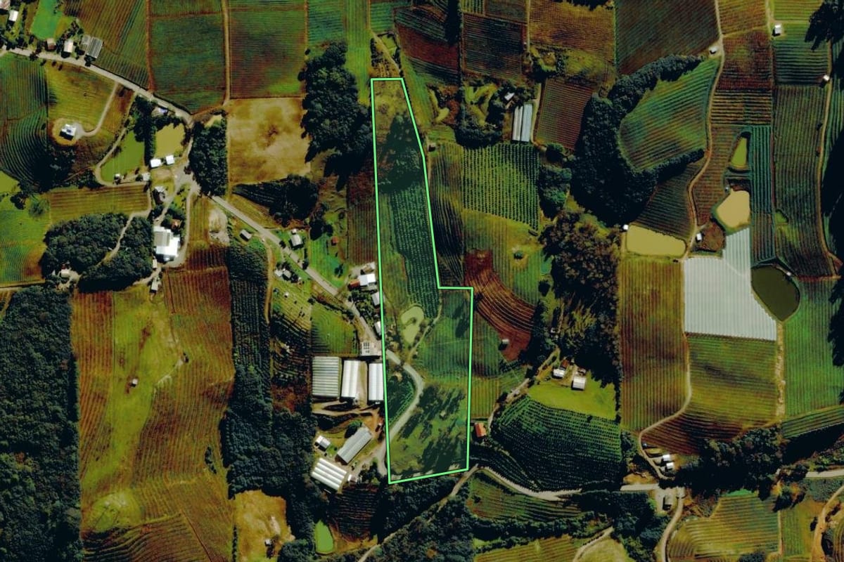 Imagem de satélite do imóvel rural em Bento Gonçalves (RS), com o contorno declarado no CAR desenhado por cima.