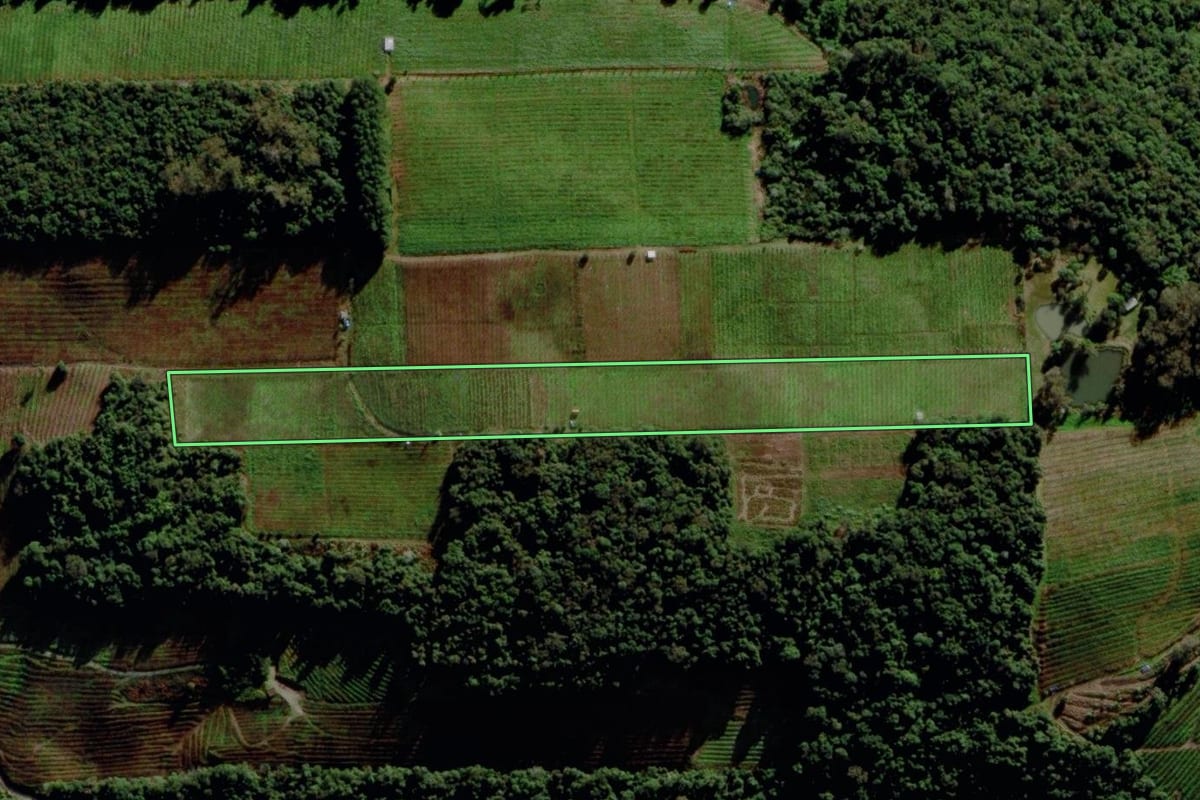 Imagem de satélite do imóvel rural em Bento Gonçalves (RS), com o contorno declarado no CAR desenhado por cima.