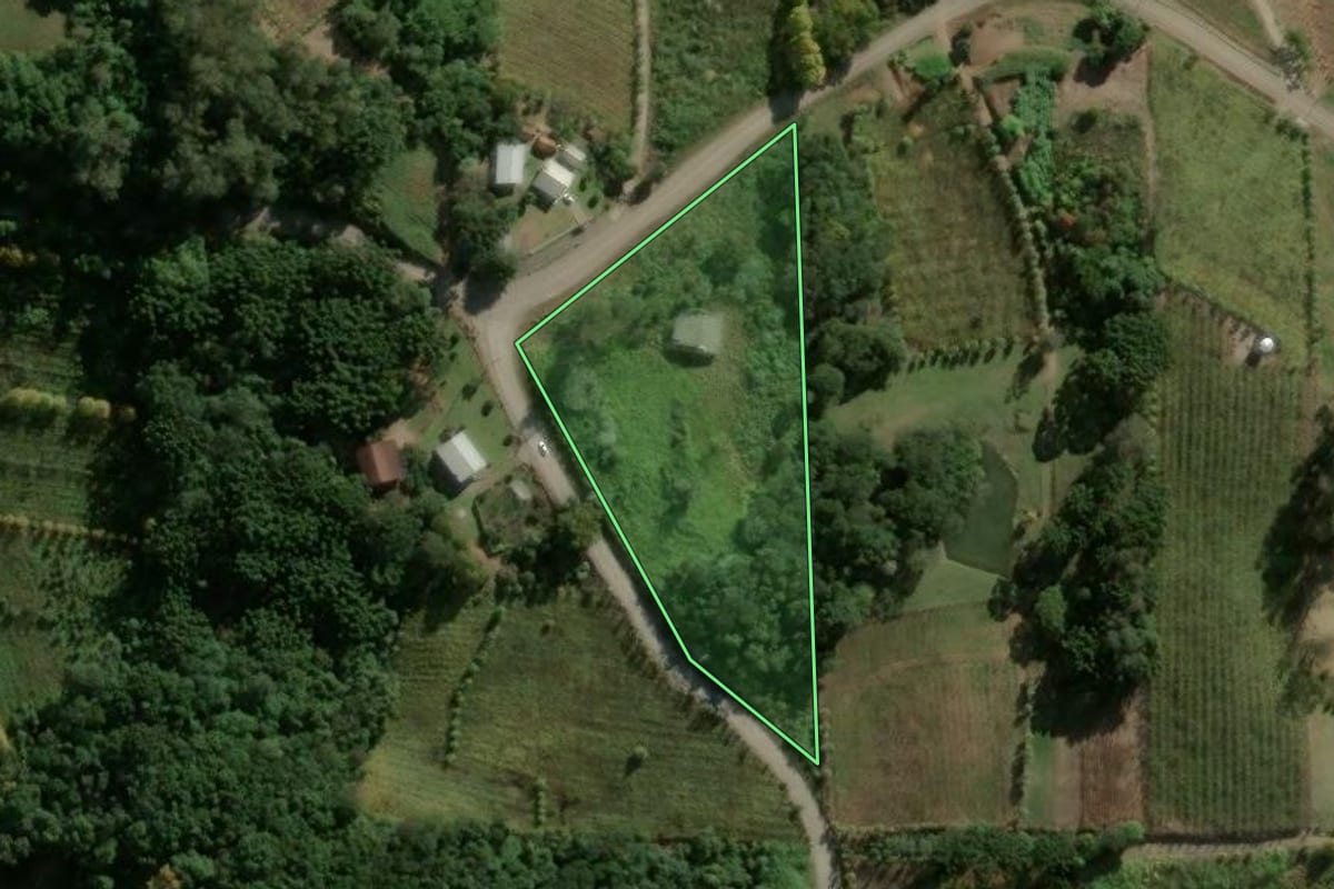 Imagem de satélite do imóvel rural em Bento Gonçalves (RS), com o contorno declarado no CAR desenhado por cima.
