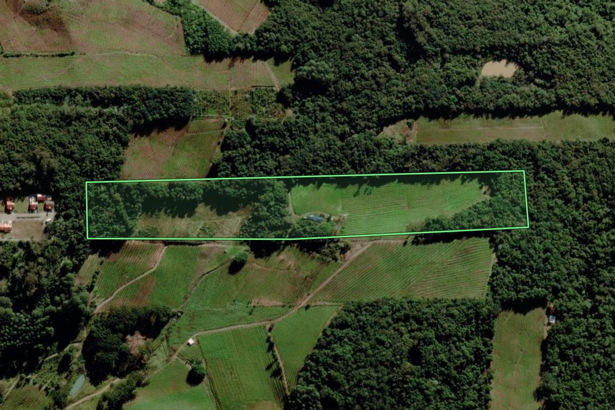 Imagem de satélite do imóvel rural em Bento Gonçalves (RS), com o contorno declarado no CAR desenhado por cima.