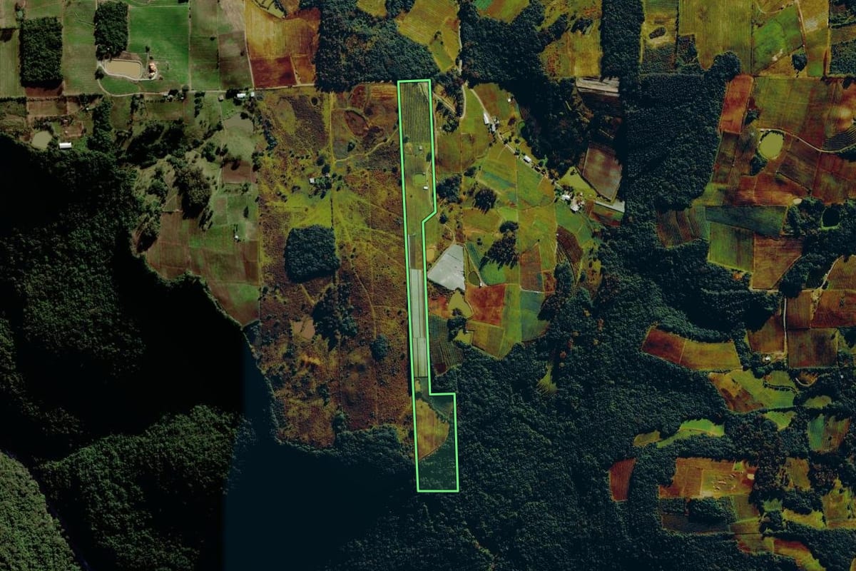 Imagem de satélite do imóvel rural em Bento Gonçalves (RS), com o contorno declarado no CAR desenhado por cima.