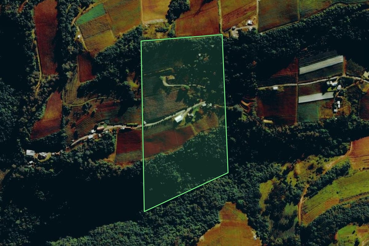 Imagem de satélite do imóvel rural em Bento Gonçalves (RS), com o contorno declarado no CAR desenhado por cima.