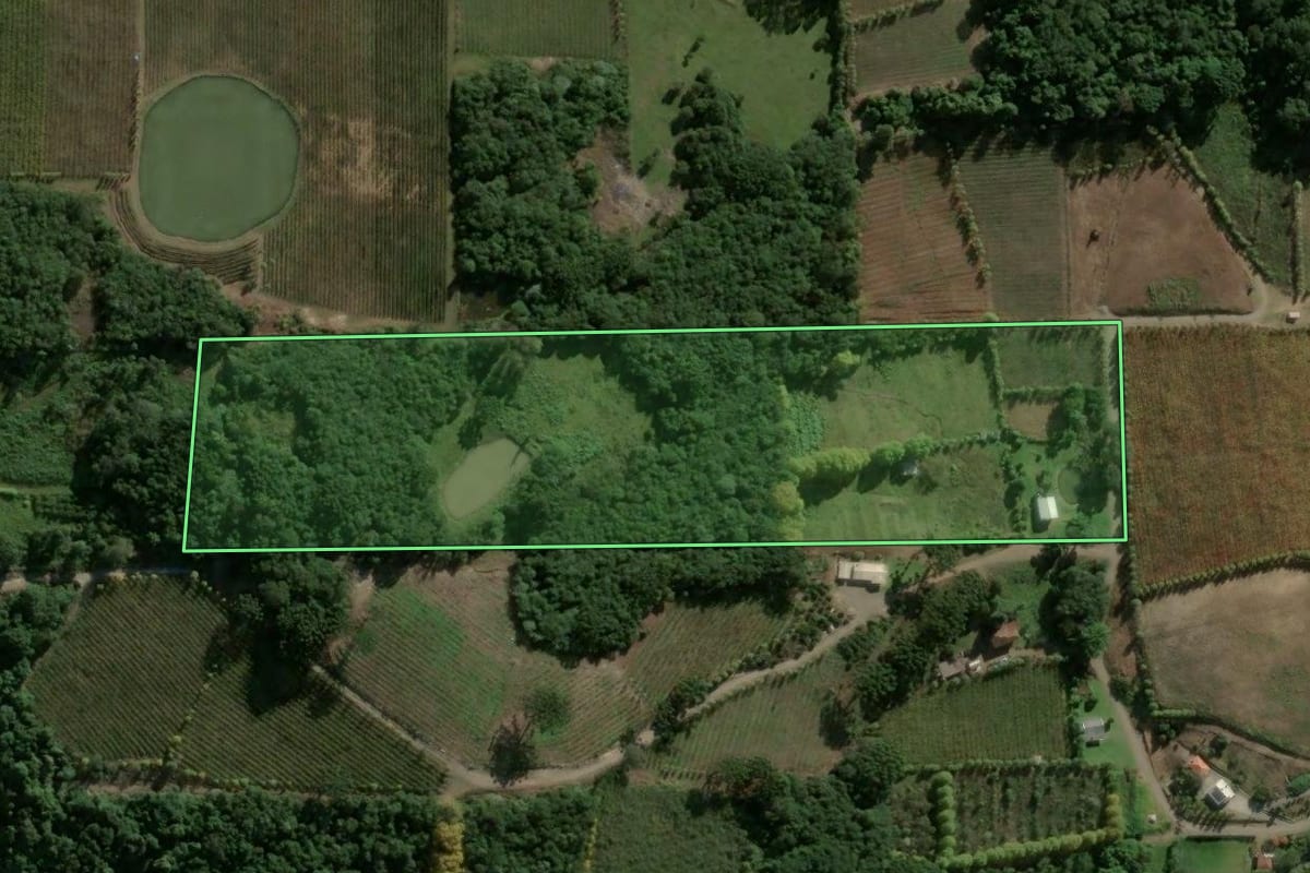 Imagem de satélite do imóvel rural em Bento Gonçalves (RS), com o contorno declarado no CAR desenhado por cima.