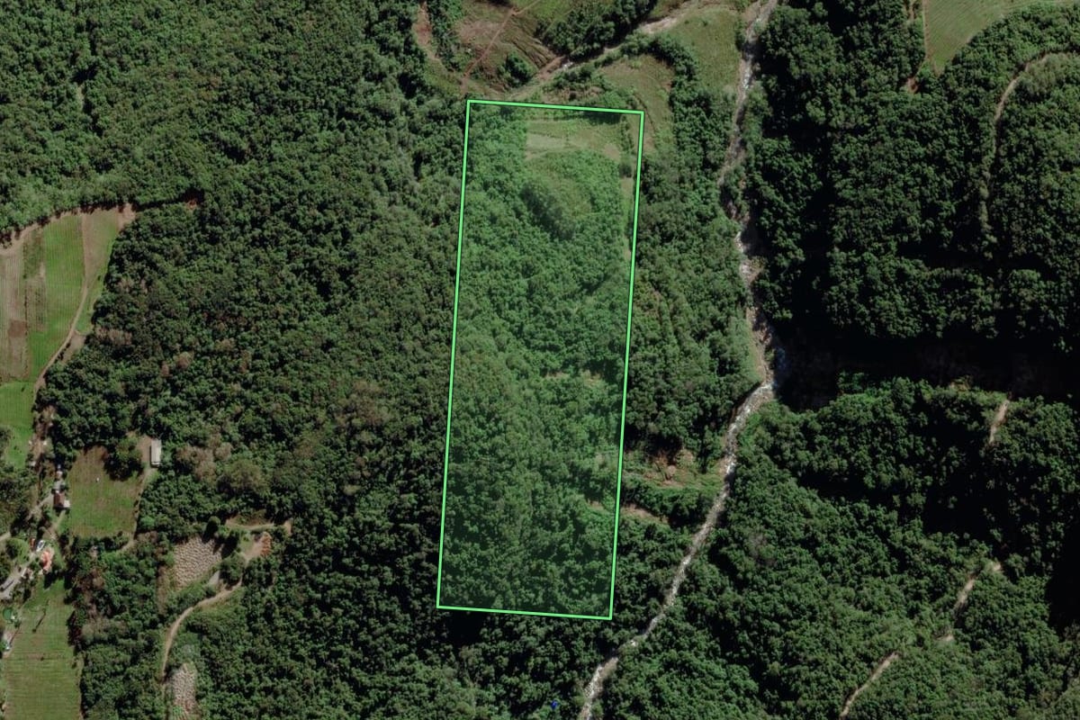 Imagem de satélite do imóvel rural em Bento Gonçalves (RS), com o contorno declarado no CAR desenhado por cima.