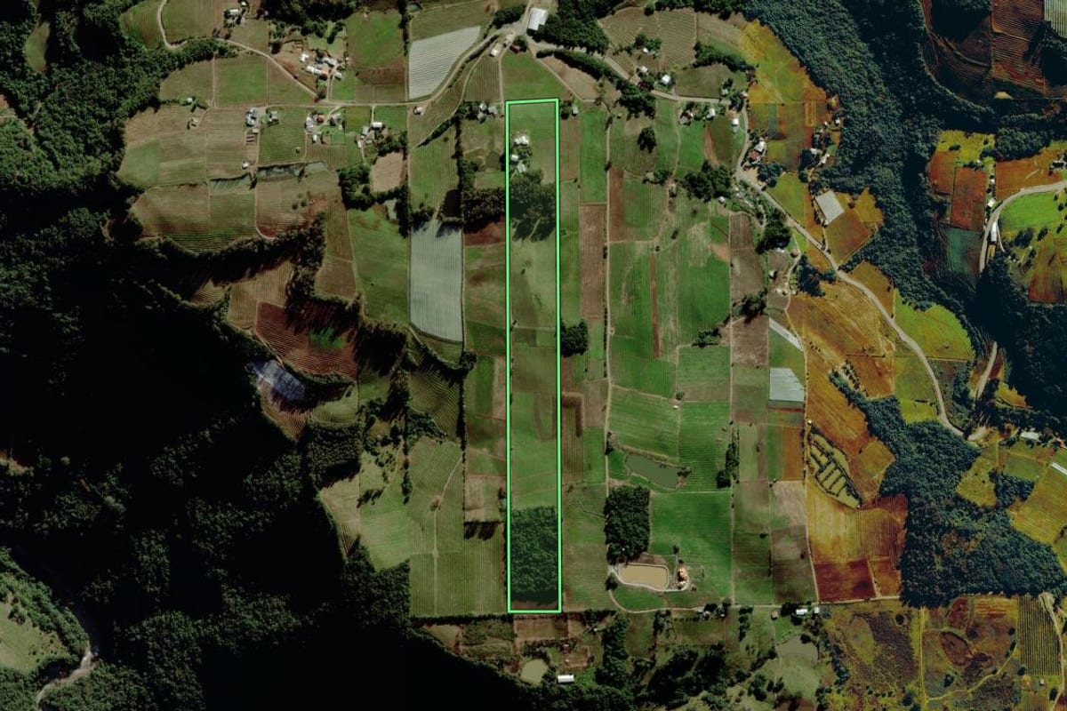 Imagem de satélite do imóvel rural em Pinto Bandeira (RS), com o contorno declarado no CAR desenhado por cima.