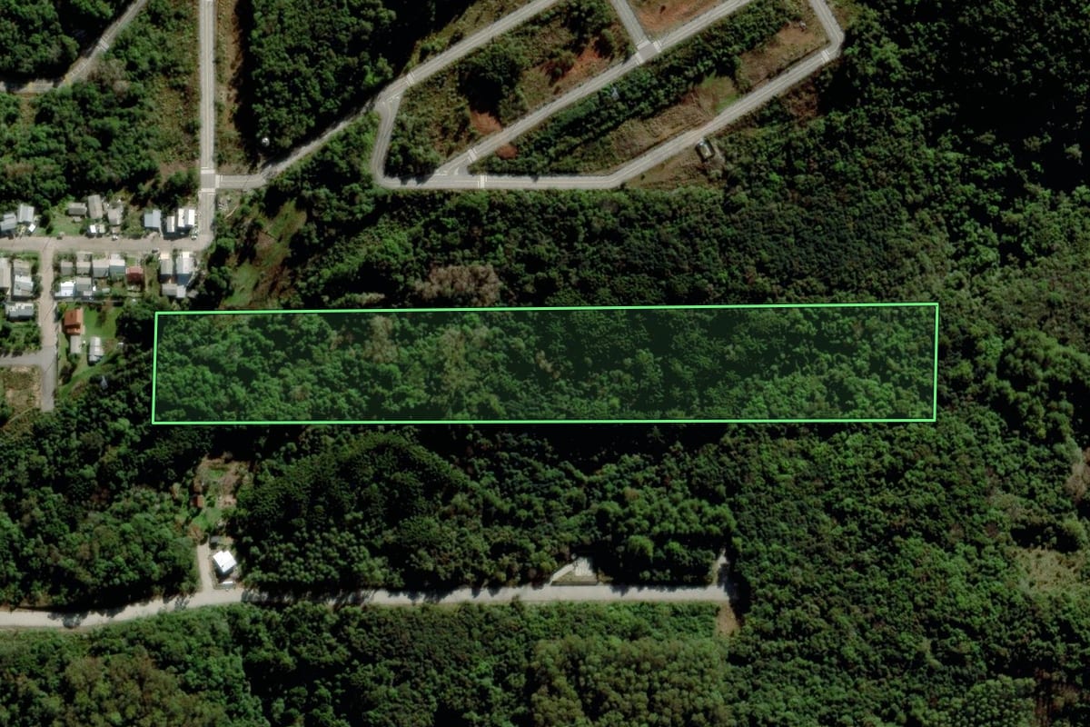Imagem de satélite do imóvel rural em Bento Gonçalves (RS), com o contorno declarado no CAR desenhado por cima.