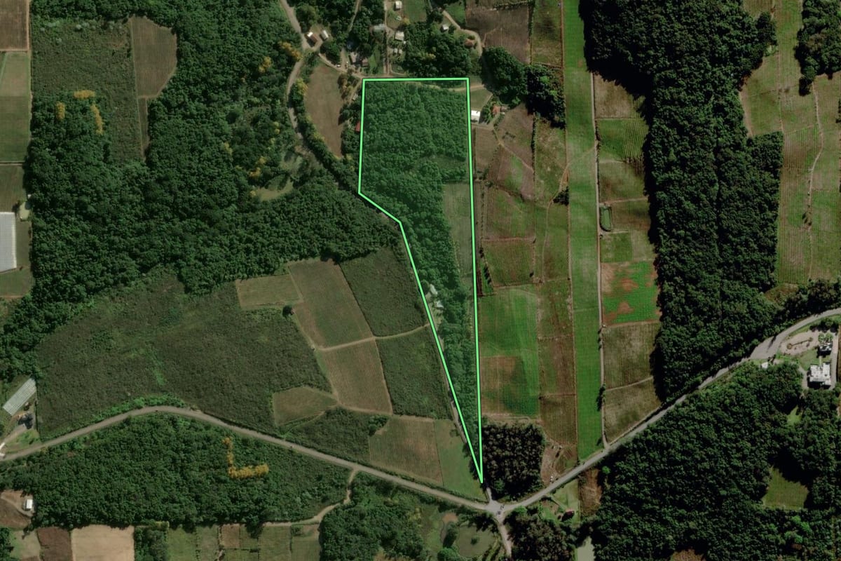 Imagem de satélite do imóvel rural em Bento Gonçalves (RS), com o contorno declarado no CAR desenhado por cima.