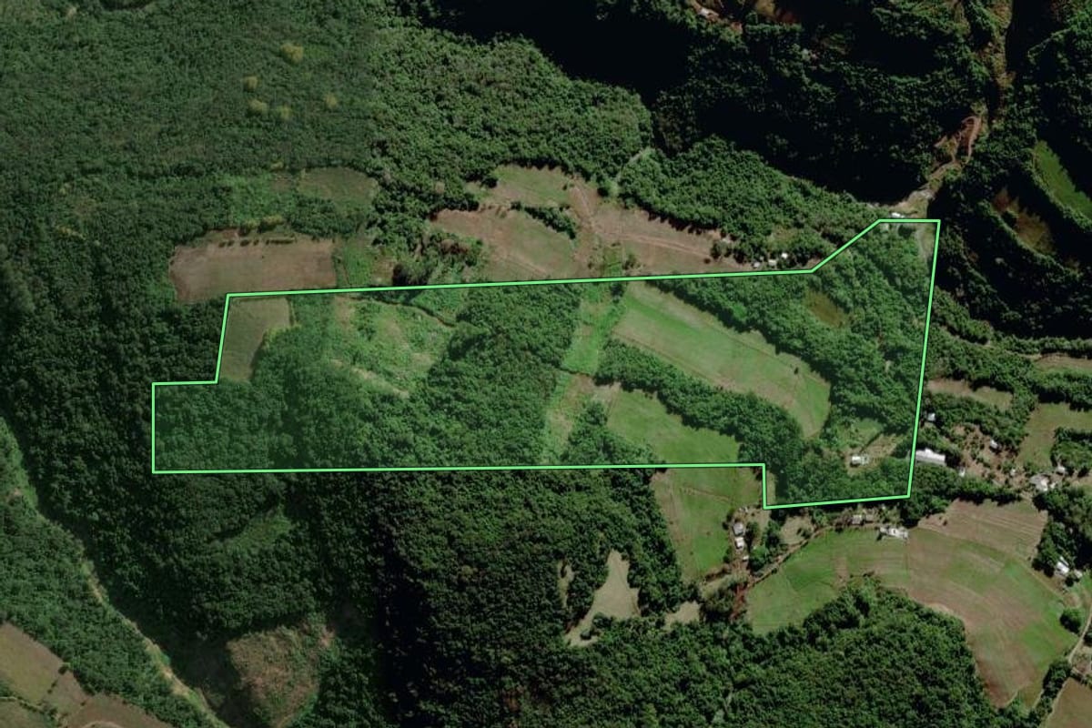 Imagem de satélite do imóvel rural em Bento Gonçalves (RS), com o contorno declarado no CAR desenhado por cima.