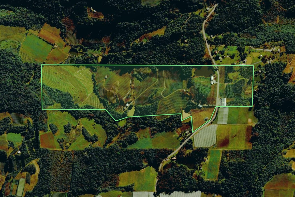 Imagem de satélite do imóvel rural em Pinto Bandeira (RS), com o contorno declarado no CAR desenhado por cima.