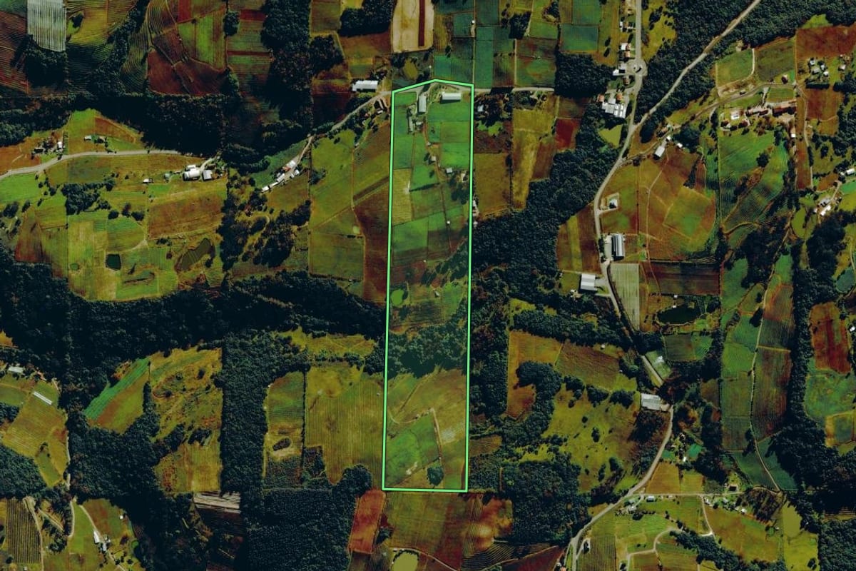 Imagem de satélite do imóvel rural em Bento Gonçalves (RS), com o contorno declarado no CAR desenhado por cima.