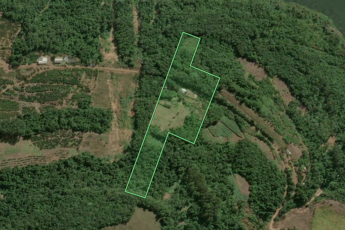 Imagem de satélite do imóvel rural em Bento Gonçalves (RS), com o contorno declarado no CAR desenhado por cima.