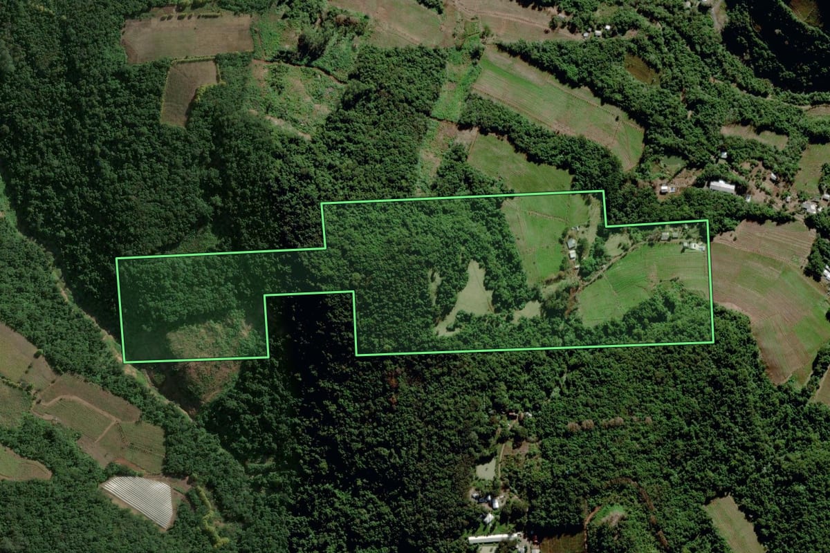 Imagem de satélite do imóvel rural em Bento Gonçalves (RS), com o contorno declarado no CAR desenhado por cima.