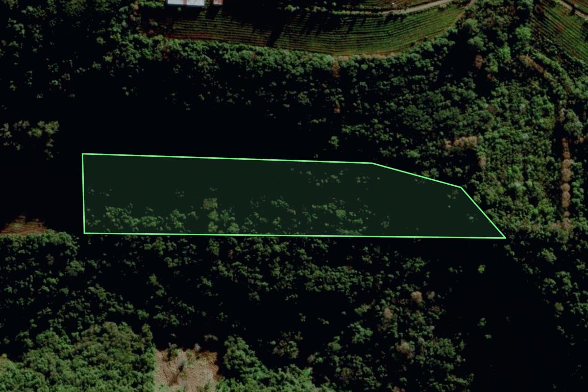 Imagem de satélite do imóvel rural em Bento Gonçalves (RS), com o contorno declarado no CAR desenhado por cima.