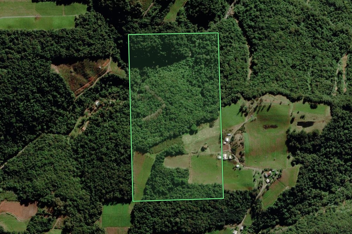 Imagem de satélite do imóvel rural em Bento Gonçalves (RS), com o contorno declarado no CAR desenhado por cima.
