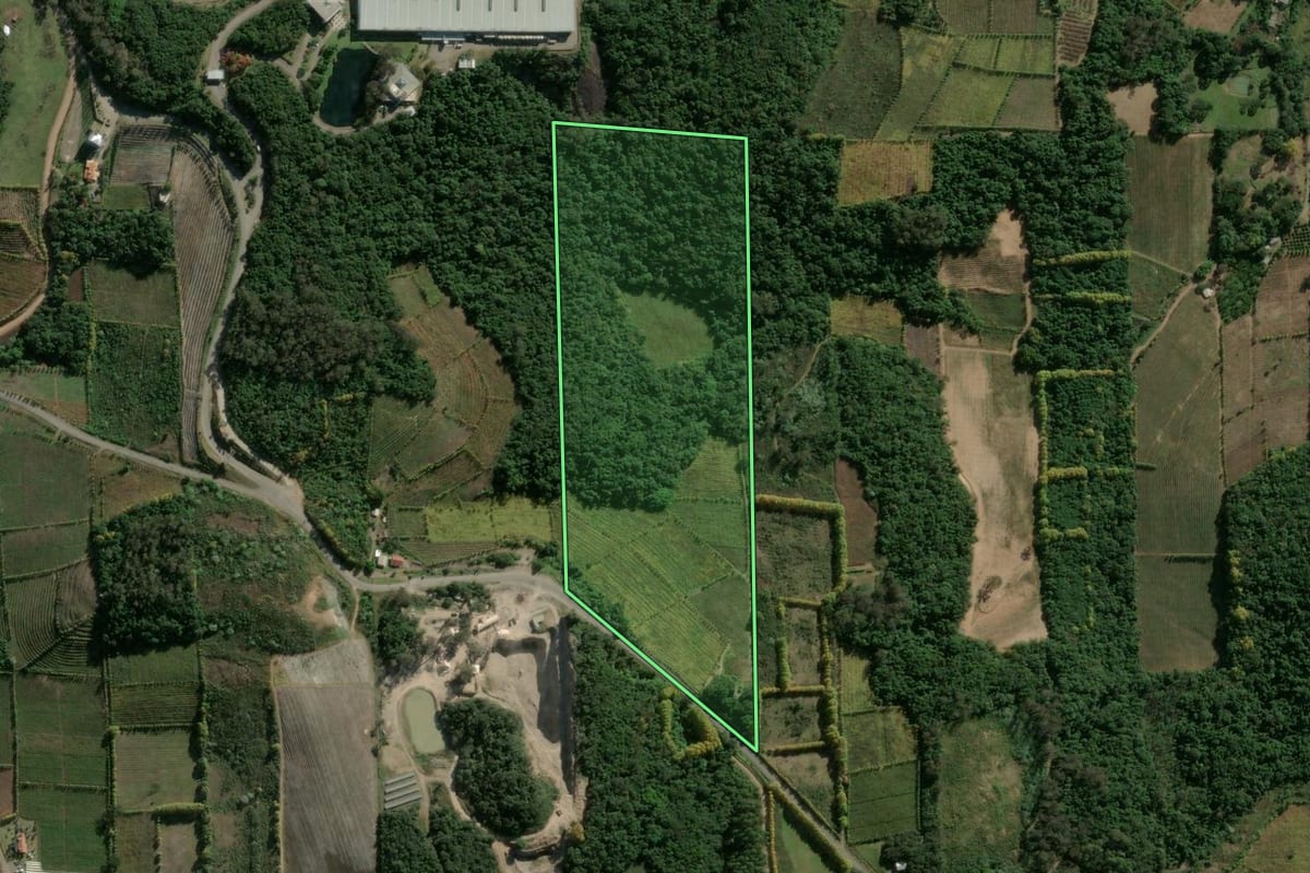 Imagem de satélite do imóvel rural em Bento Gonçalves (RS), com o contorno declarado no CAR desenhado por cima.