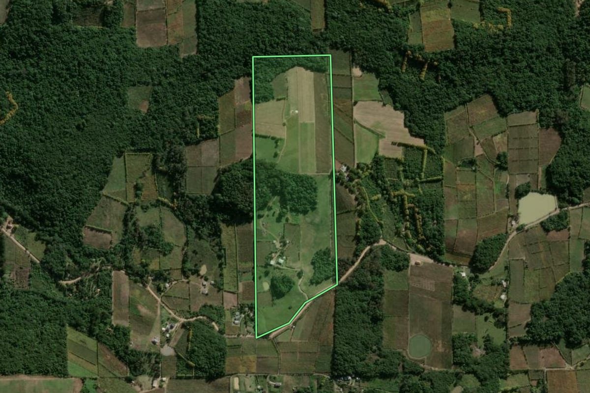 Imagem de satélite do imóvel rural em Bento Gonçalves (RS), com o contorno declarado no CAR desenhado por cima.