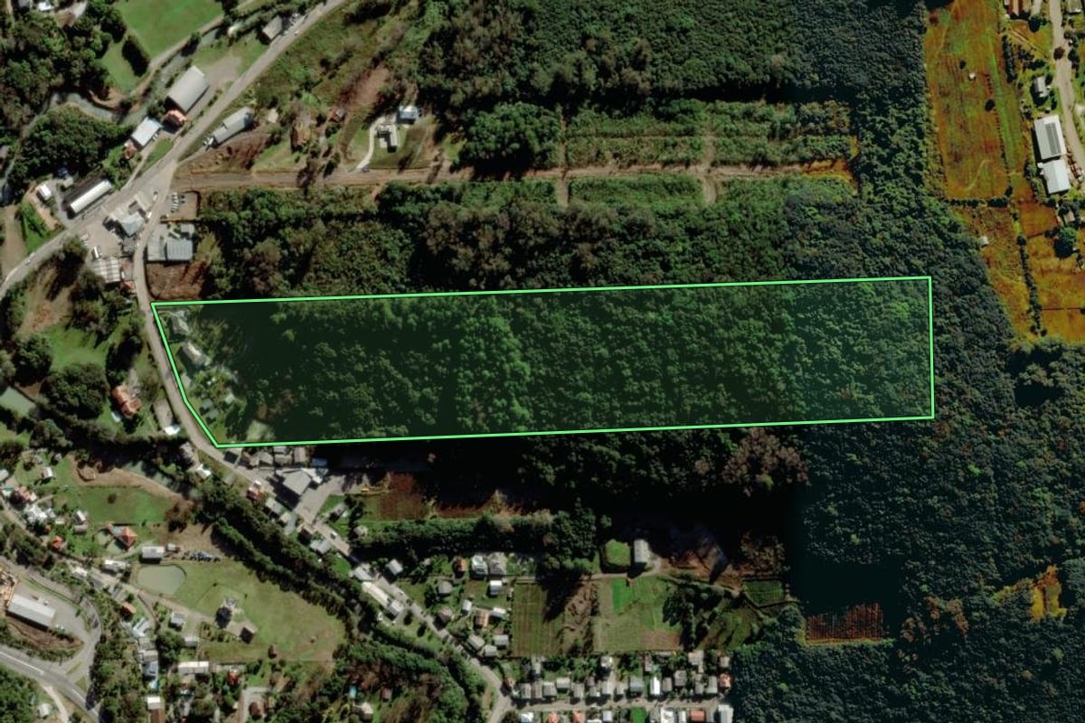 Imagem de satélite do imóvel rural em Bento Gonçalves (RS), com o contorno declarado no CAR desenhado por cima.