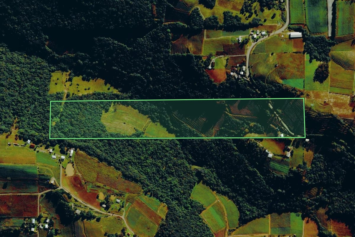 Imagem de satélite do imóvel rural em Bento Gonçalves (RS), com o contorno declarado no CAR desenhado por cima.