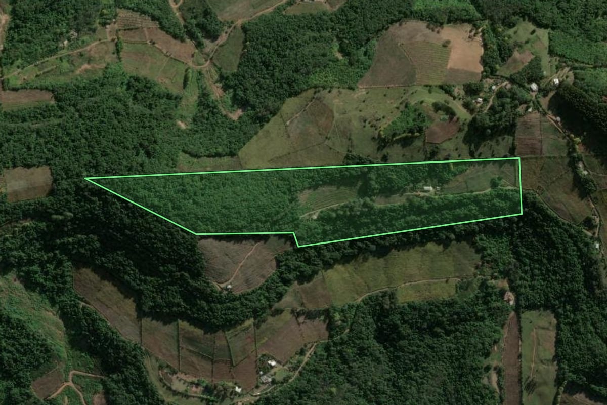 Imagem de satélite do imóvel rural em Bento Gonçalves (RS), com o contorno declarado no CAR desenhado por cima.