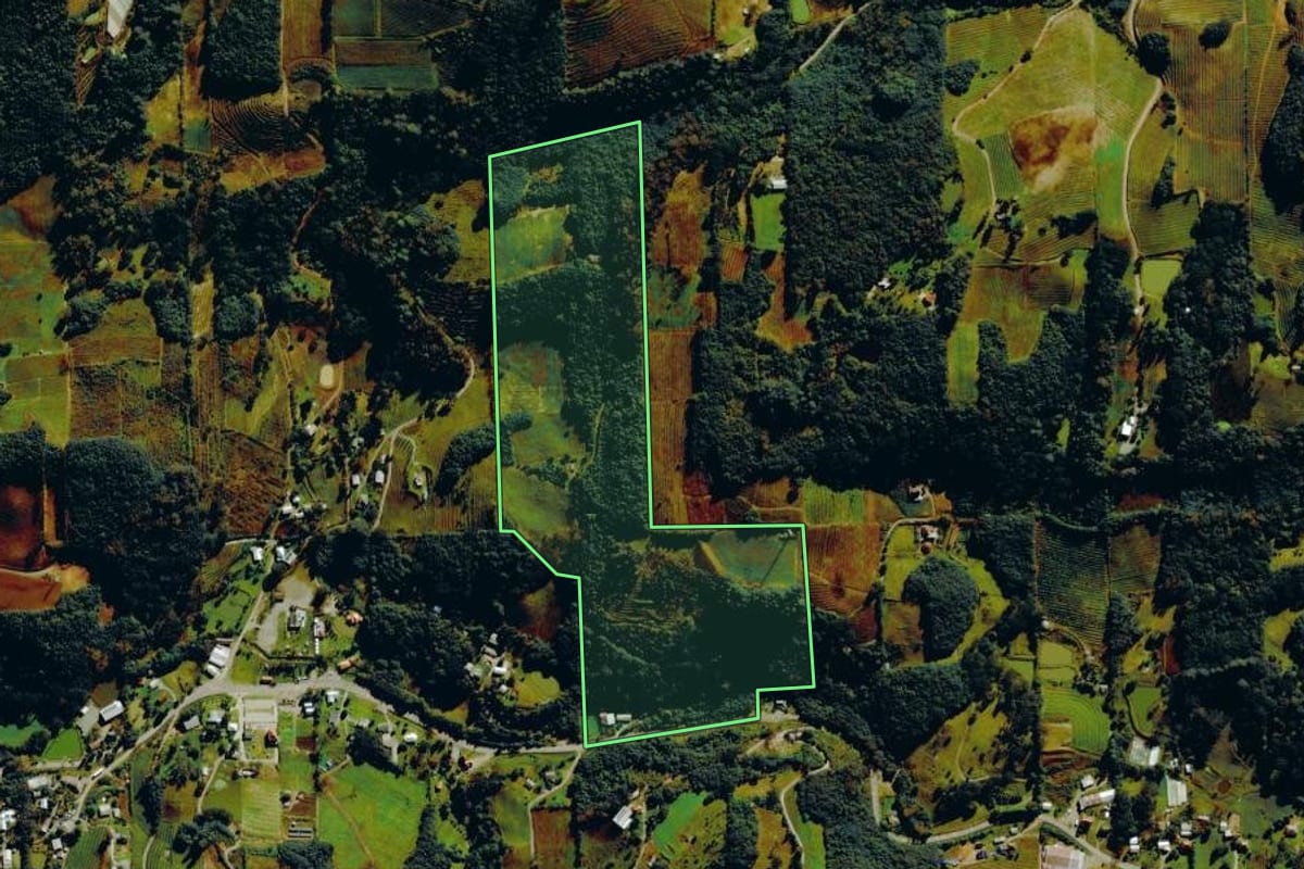 Imagem de satélite do imóvel rural em Bento Gonçalves (RS), com o contorno declarado no CAR desenhado por cima.