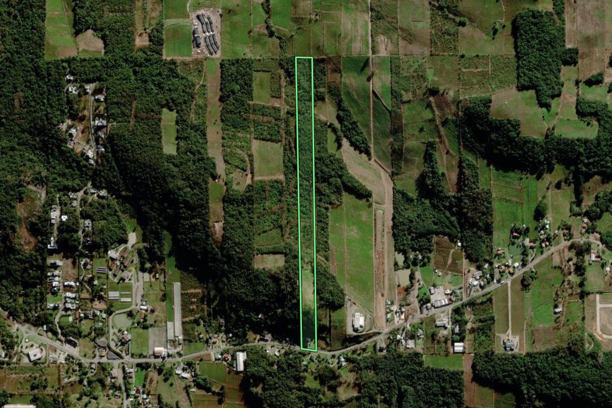 Imagem de satélite do imóvel rural em Bento Gonçalves (RS), com o contorno declarado no CAR desenhado por cima.