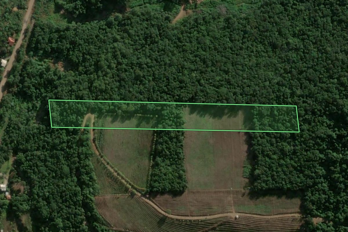 Imagem de satélite do imóvel rural em Bento Gonçalves (RS), com o contorno declarado no CAR desenhado por cima.