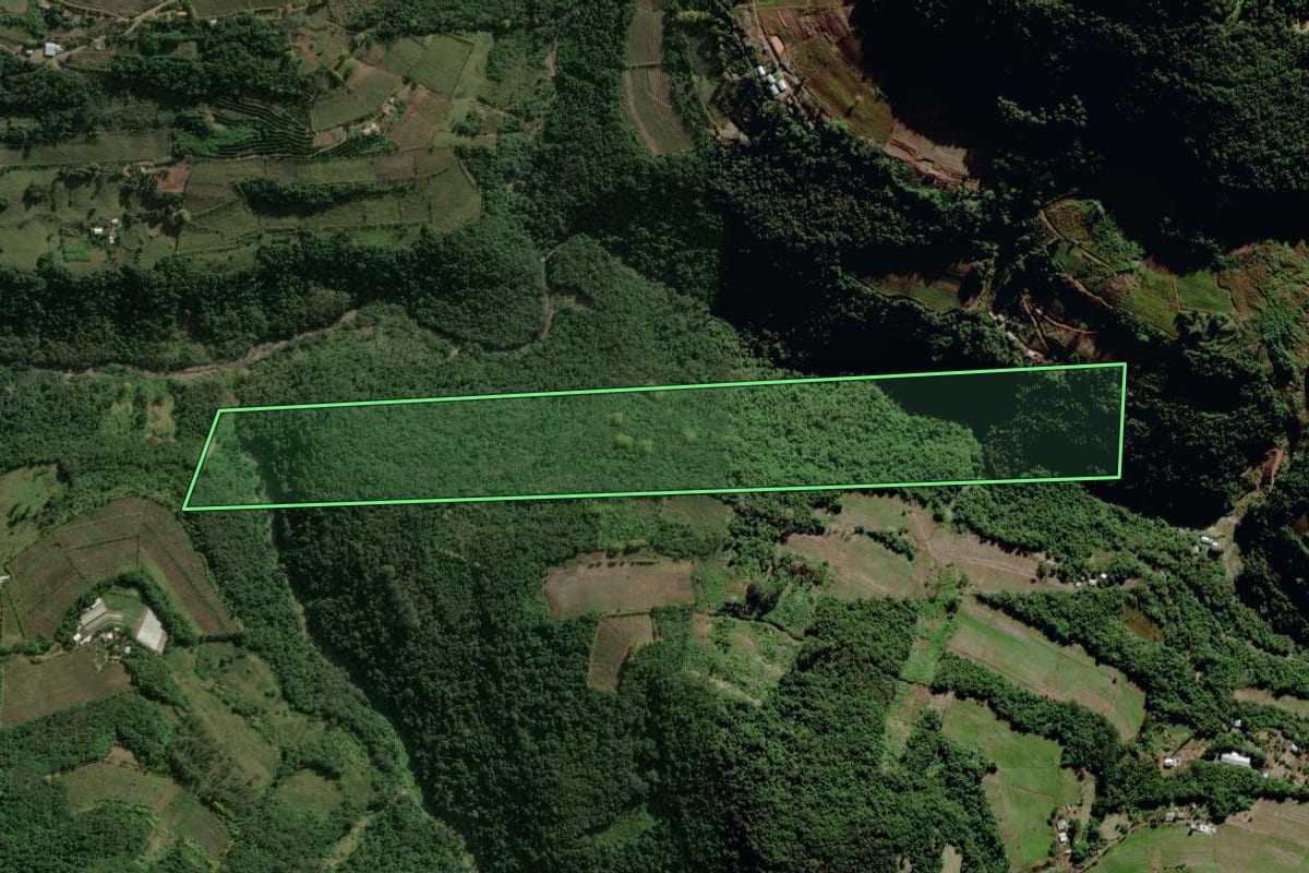 Imagem de satélite do imóvel rural em Bento Gonçalves (RS), com o contorno declarado no CAR desenhado por cima.