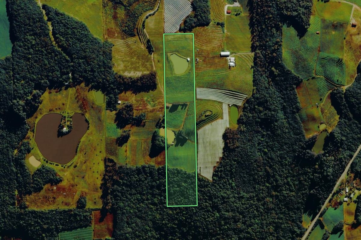 Imagem de satélite do imóvel rural em Bento Gonçalves (RS), com o contorno declarado no CAR desenhado por cima.