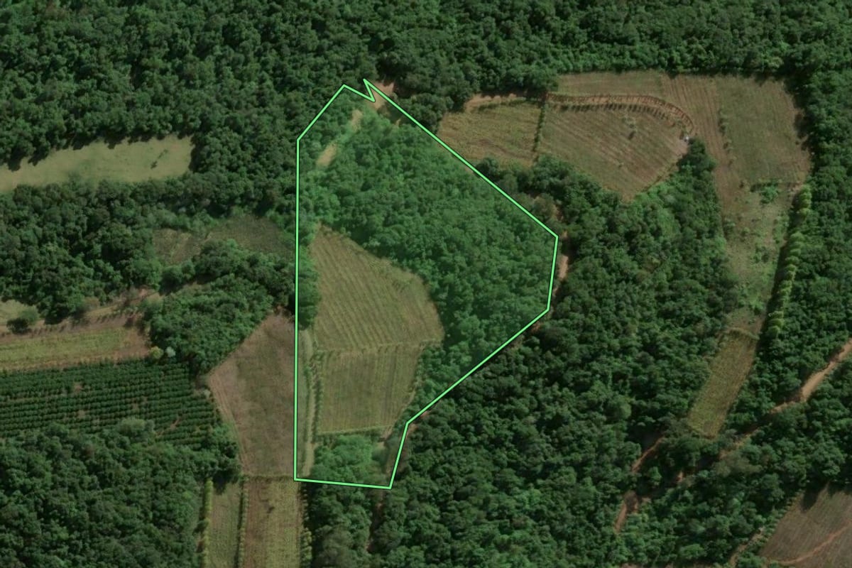 Imagem de satélite do imóvel rural em Bento Gonçalves (RS), com o contorno declarado no CAR desenhado por cima.