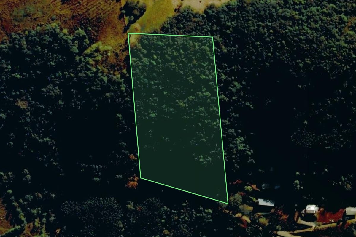 Imagem de satélite do imóvel rural em Bento Gonçalves (RS), com o contorno declarado no CAR desenhado por cima.
