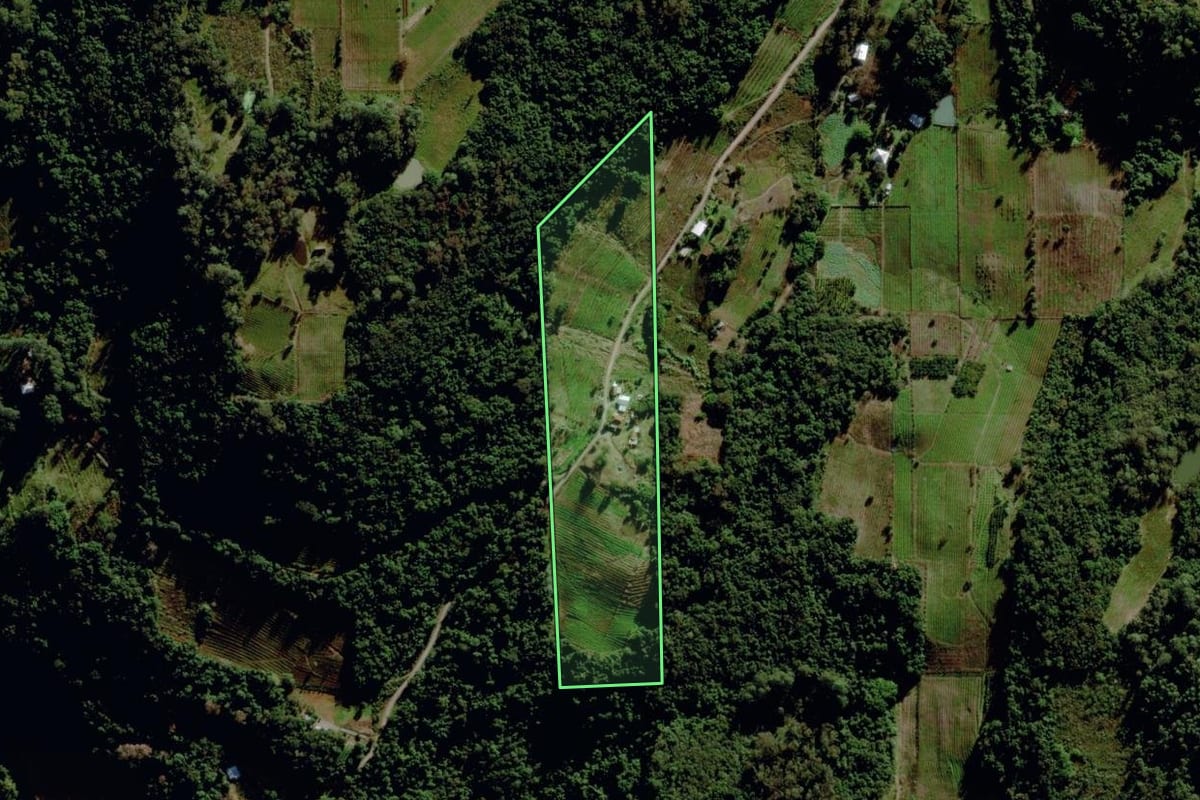 Imagem de satélite do imóvel rural em Bento Gonçalves (RS), com o contorno declarado no CAR desenhado por cima.