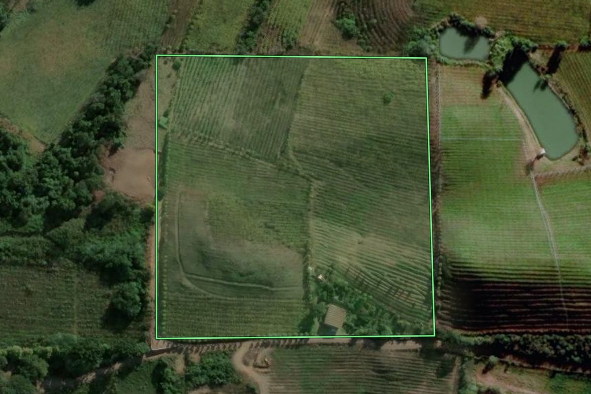 Imagem de satélite do imóvel rural em Bento Gonçalves (RS), com o contorno declarado no CAR desenhado por cima.