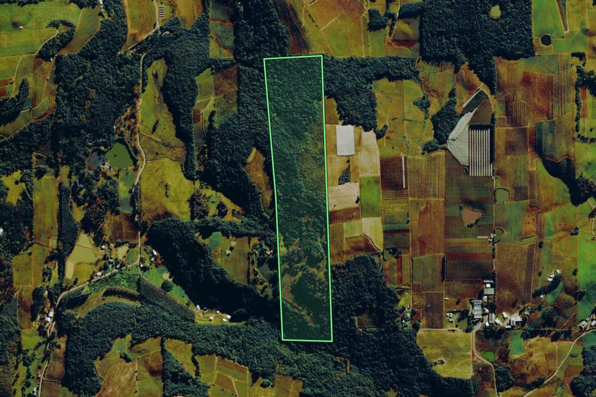 Imagem de satélite do imóvel rural em Bento Gonçalves (RS), com o contorno declarado no CAR desenhado por cima.