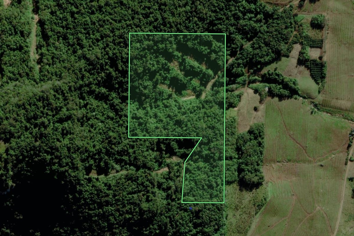 Imagem de satélite do imóvel rural em Bento Gonçalves (RS), com o contorno declarado no CAR desenhado por cima.