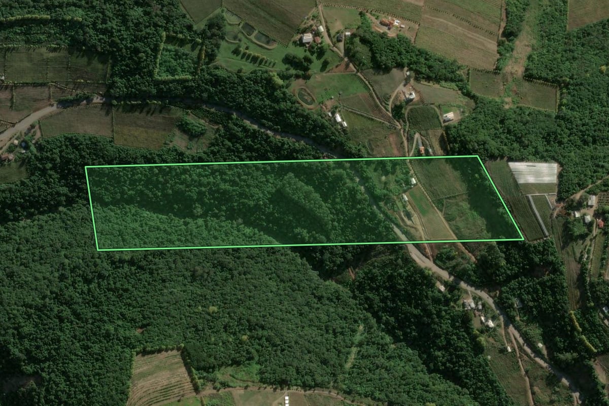 Imagem de satélite do imóvel rural em Bento Gonçalves (RS), com o contorno declarado no CAR desenhado por cima.