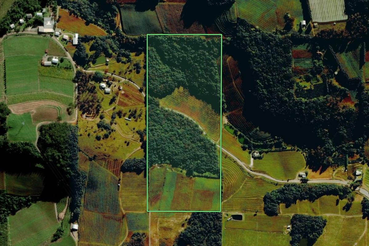 Imagem de satélite do imóvel rural em Pinto Bandeira (RS), com o contorno declarado no CAR desenhado por cima.