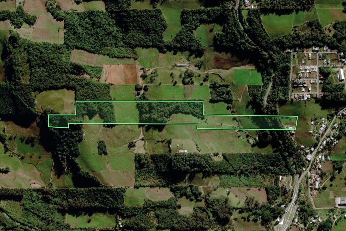 Imagem de satélite do imóvel rural em Bento Gonçalves (RS), com o contorno declarado no CAR desenhado por cima.