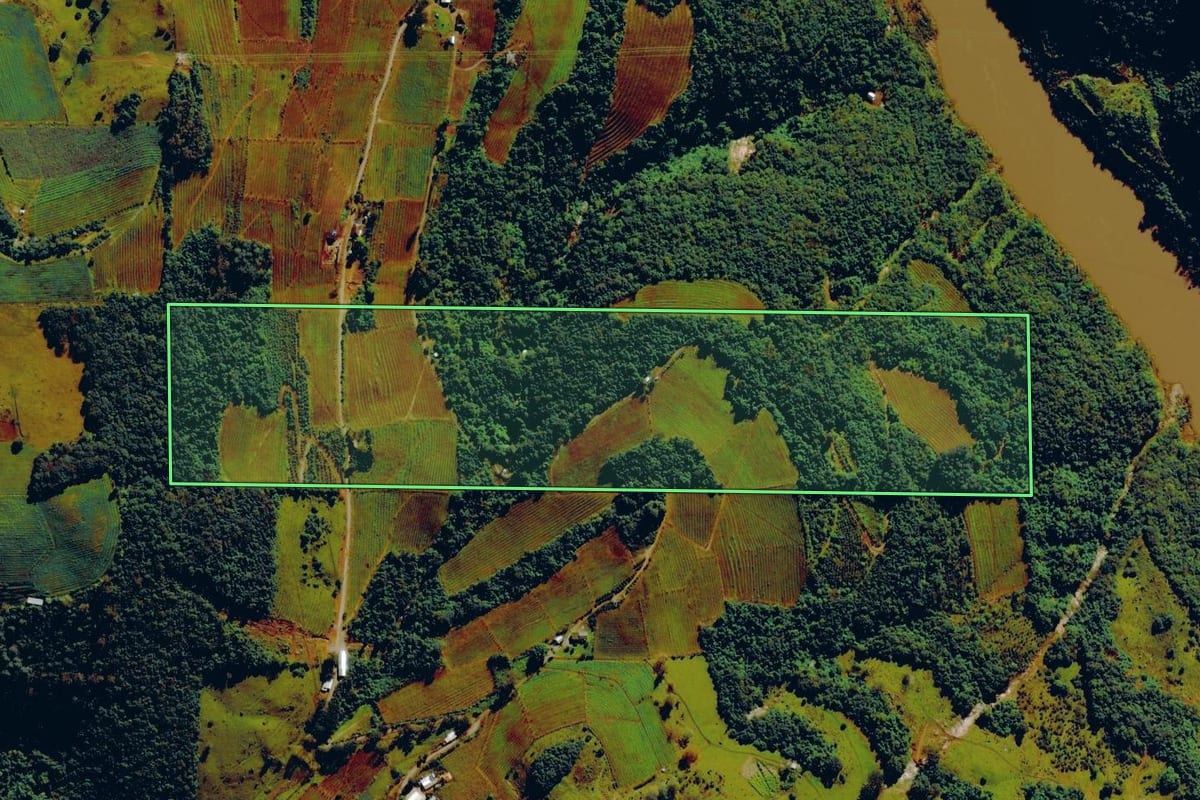 Imagem de satélite do imóvel rural em Bento Gonçalves (RS), com o contorno declarado no CAR desenhado por cima.