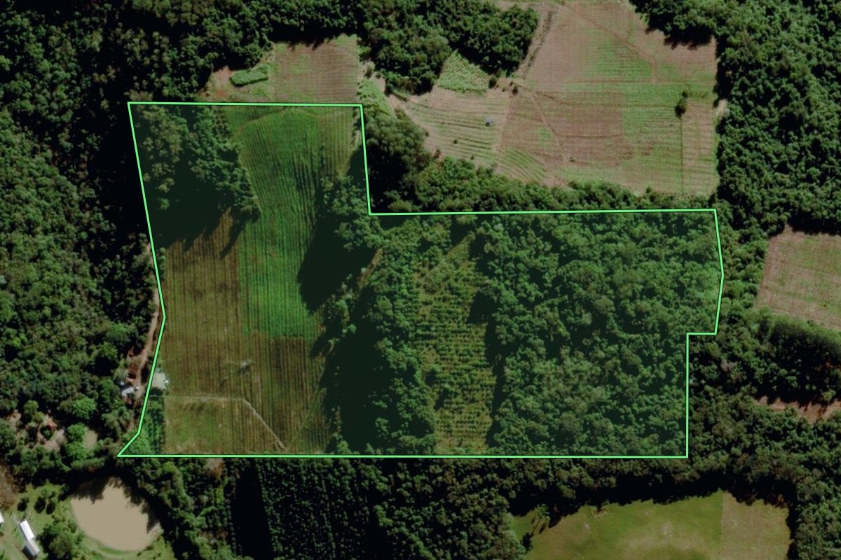 Imagem de satélite do imóvel rural em Bento Gonçalves (RS), com o contorno declarado no CAR desenhado por cima.