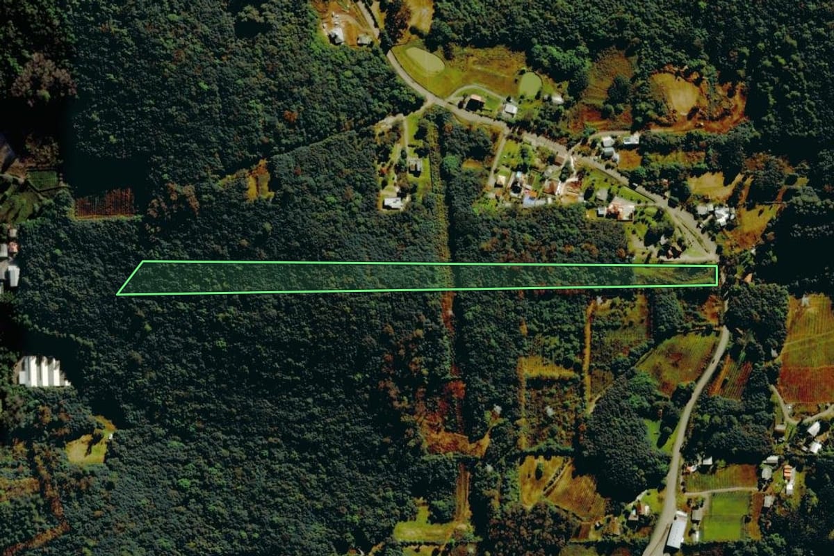 Imagem de satélite do imóvel rural em Bento Gonçalves (RS), com o contorno declarado no CAR desenhado por cima.