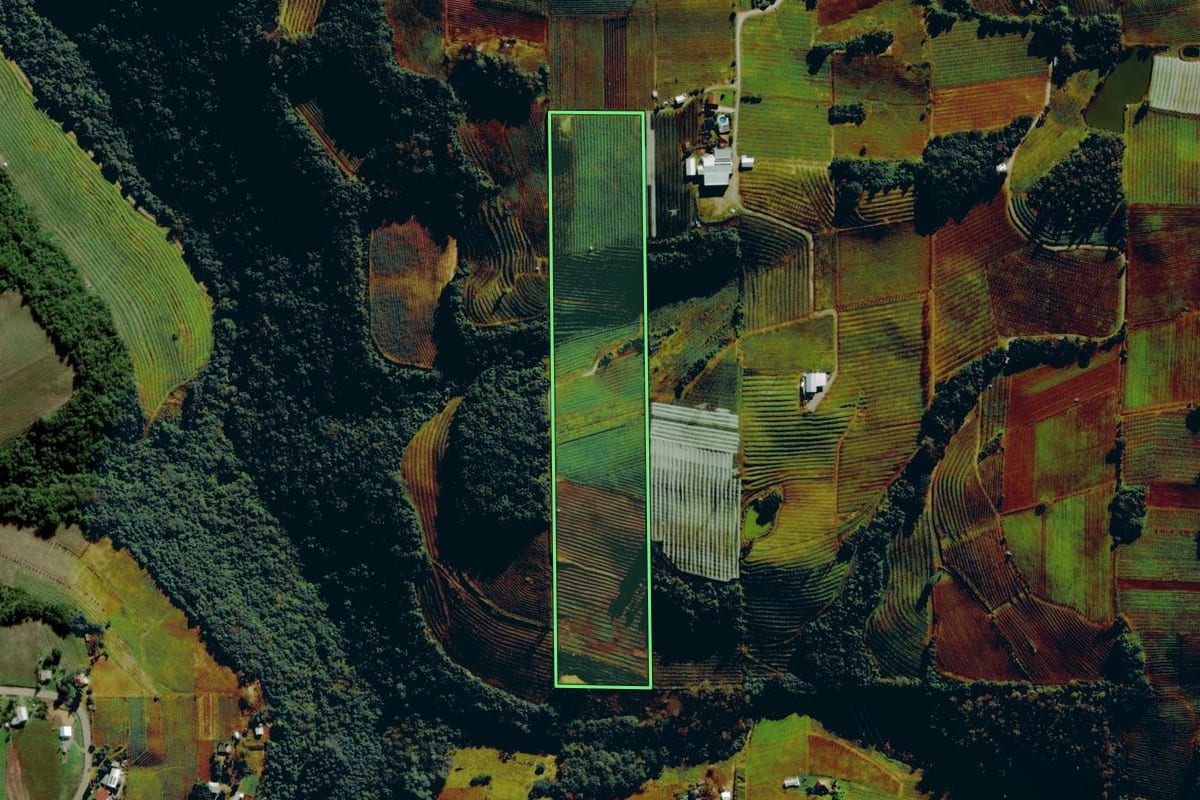 Imagem de satélite do imóvel rural em Bento Gonçalves (RS), com o contorno declarado no CAR desenhado por cima.