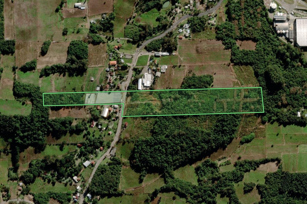 Imagem de satélite do imóvel rural em Bento Gonçalves (RS), com o contorno declarado no CAR desenhado por cima.