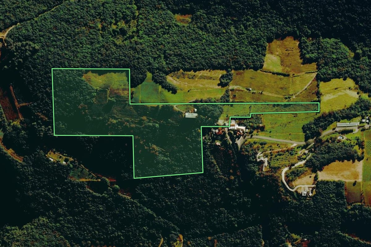 Imagem de satélite do imóvel rural em Bento Gonçalves (RS), com o contorno declarado no CAR desenhado por cima.