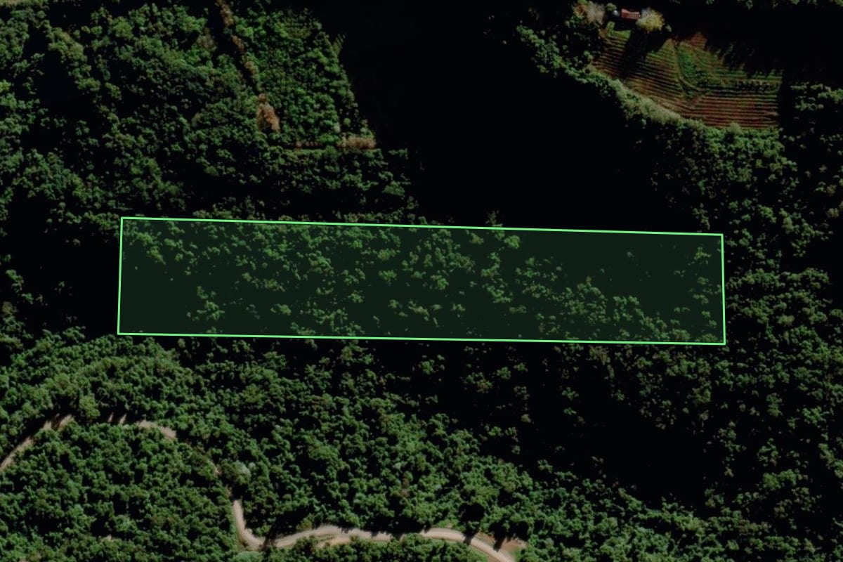 Imagem de satélite do imóvel rural em Bento Gonçalves (RS), com o contorno declarado no CAR desenhado por cima.
