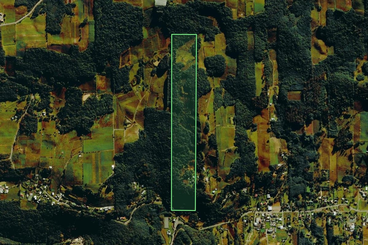 Imagem de satélite do imóvel rural em Bento Gonçalves (RS), com o contorno declarado no CAR desenhado por cima.