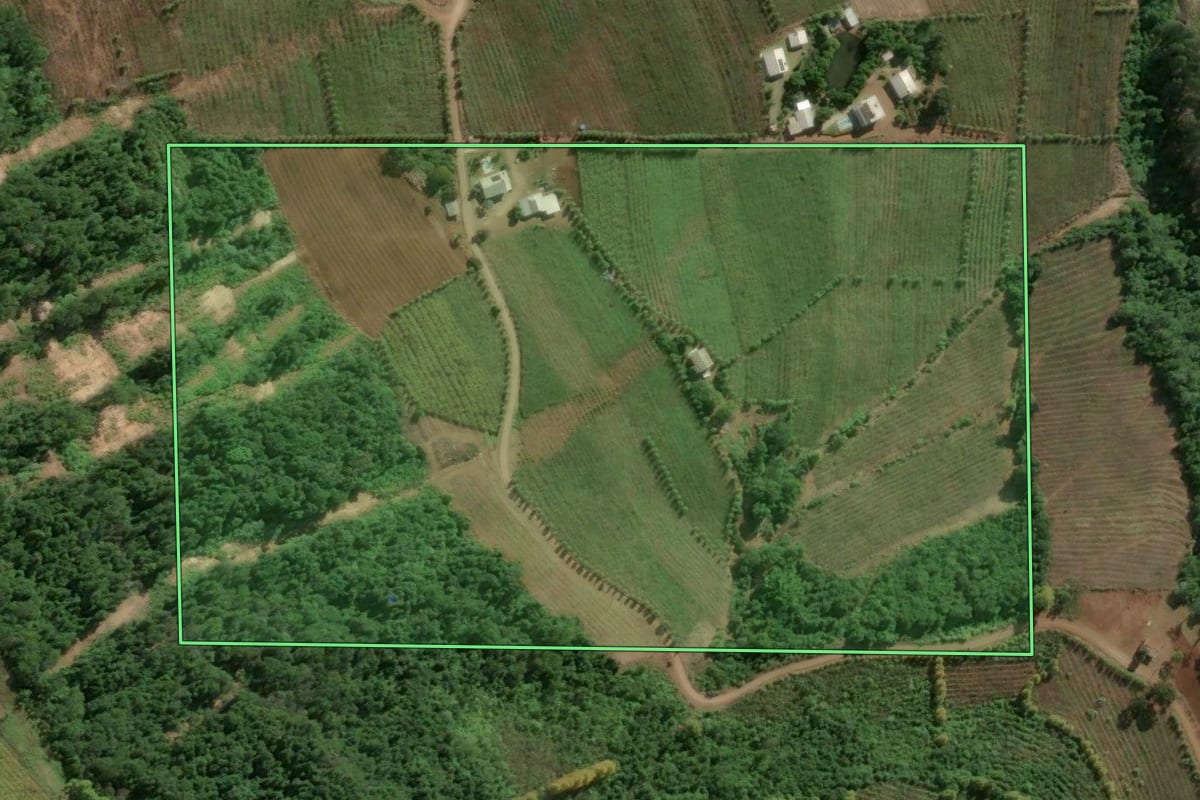 Imagem de satélite do imóvel rural em Bento Gonçalves (RS), com o contorno declarado no CAR desenhado por cima.