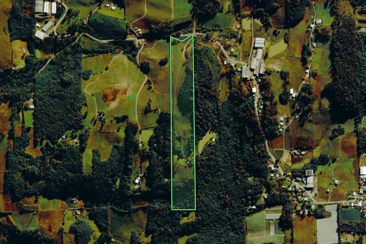 Imagem de satélite do imóvel rural em Bento Gonçalves (RS), com o contorno declarado no CAR desenhado por cima.