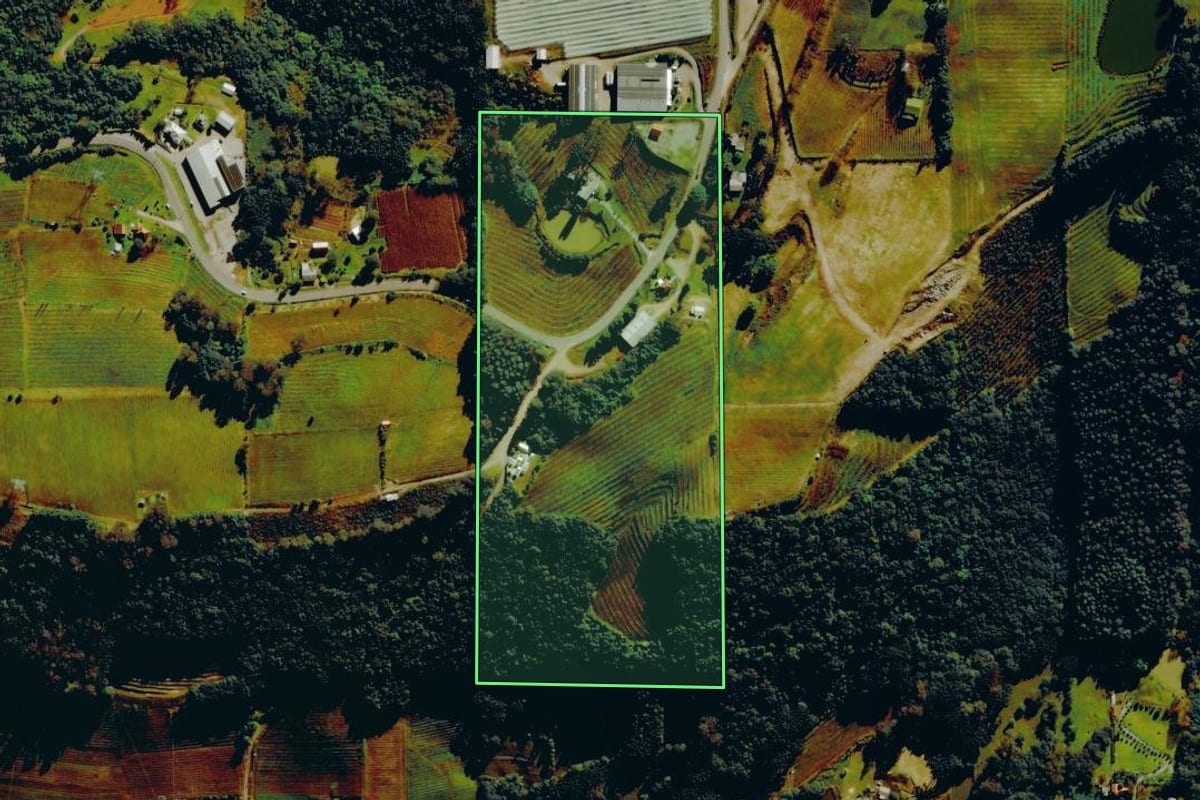 Imagem de satélite do imóvel rural em Bento Gonçalves (RS), com o contorno declarado no CAR desenhado por cima.