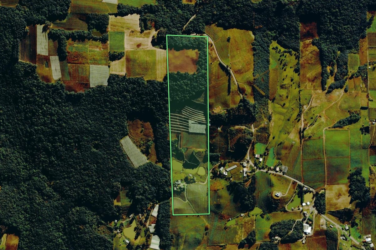 Imagem de satélite do imóvel rural em Bento Gonçalves (RS), com o contorno declarado no CAR desenhado por cima.