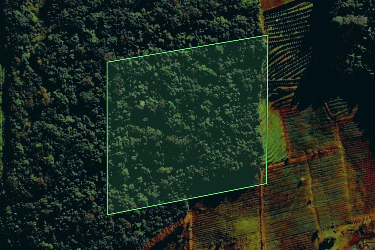 Imagem de satélite do imóvel rural em Bento Gonçalves (RS), com o contorno declarado no CAR desenhado por cima.